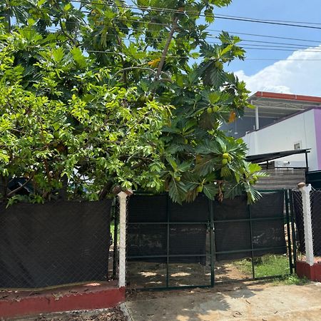 Отель The Lazy Palm Shack Коимбатур Экстерьер фото